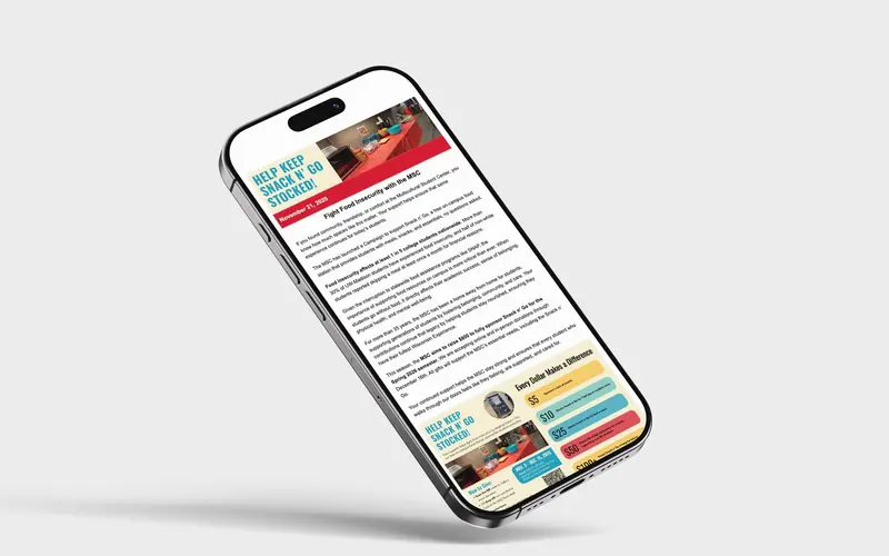 Newsletter for Snack n’ Go: the campaign update open on a phone.